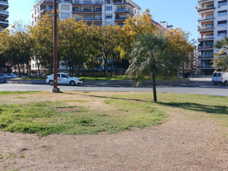 Mal estado de las zonas verdes de la Plaza de Cuba.
