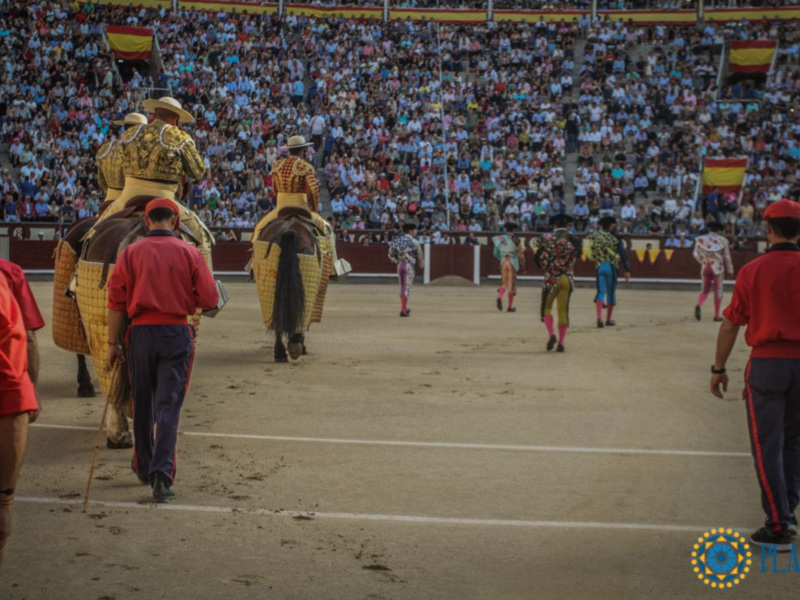 Los abonos para San Isidro aumentan un 14% el primer día de venta y renovación