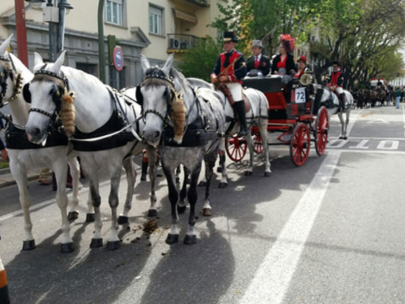 VI Concurso Internacional de Enganches de Tradición “Ciudad de Sevilla” Copa de Naciones y V Campeonato de España.