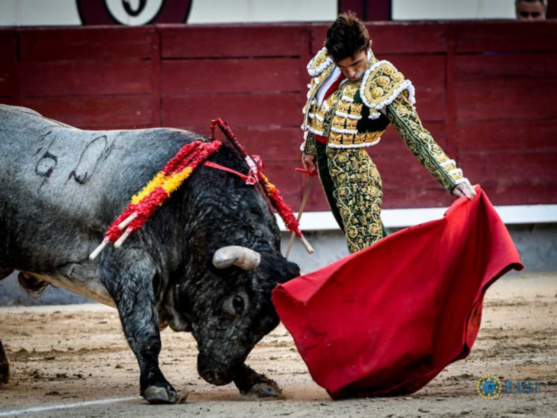 Tres toreros dispuestos ante las exigencias de los toros de Escolar
