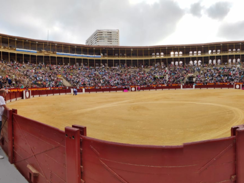 Éxito de público y triunfo de Manuel Caballero que corta un rabo, Eloy Sánchez y el ganadero, Daniel Ramos