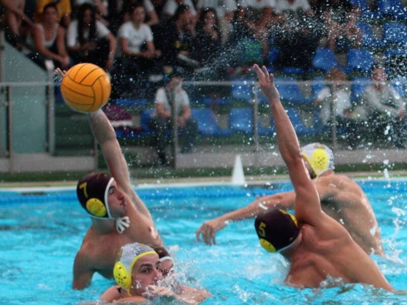 Vuelta a la senda triunfal del Club Waterpolo Sevilla