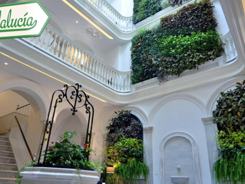 Turismo cultural por Cádiz, en "Destino Andalucía"