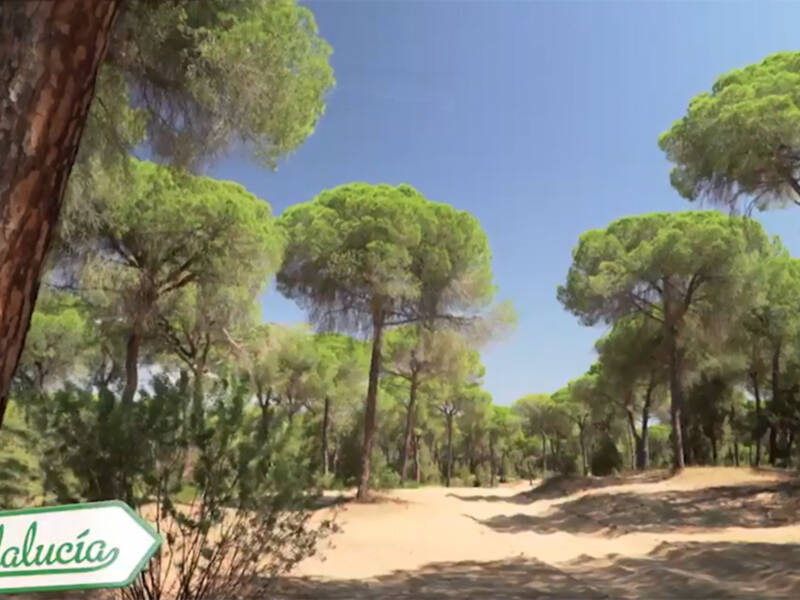 Ruta por Doñana y Sierra Nevada, en "Destino Andalucía"