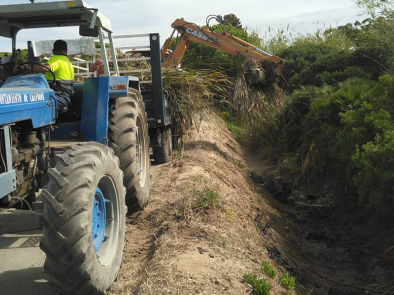 La Delegación de Agricultura reanuda la limpieza de cunetas y arroyos en la zona rural de Chipiona