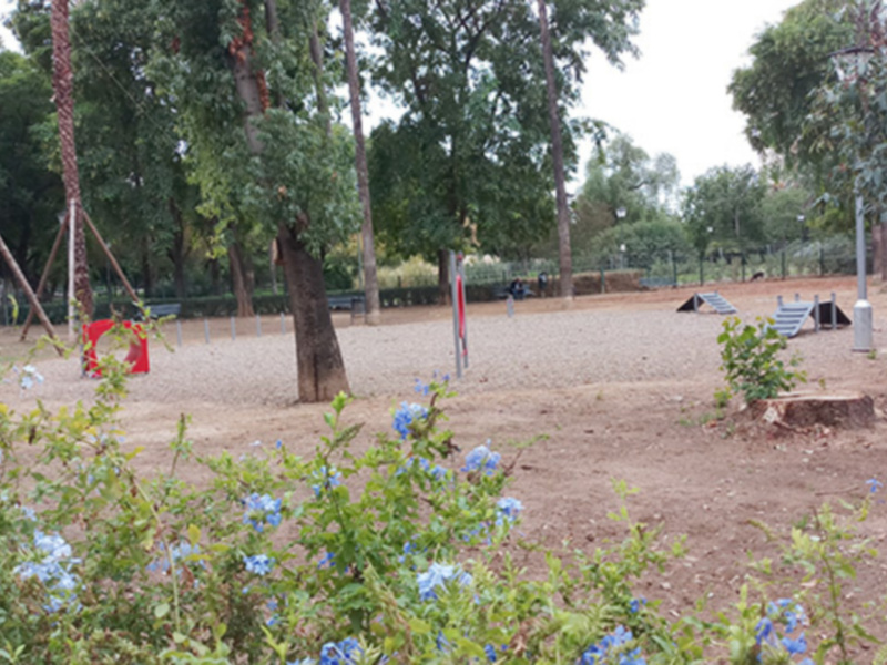 Sevilla necesita más áreas y mejor equipadas de parques caninos.