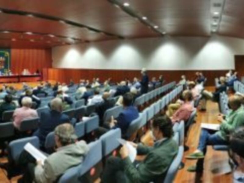 Los criterios a repartir entre las hermandades son similares a los de los años normales
