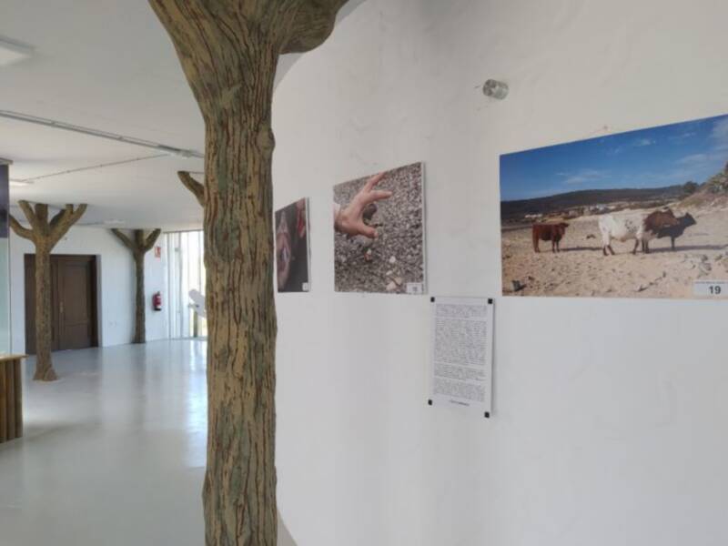 El Centro El Camaleón acoge la exposición fotográfica ‘Una historia de arena y sal’ sobre el Chorlitejo Patinegro 