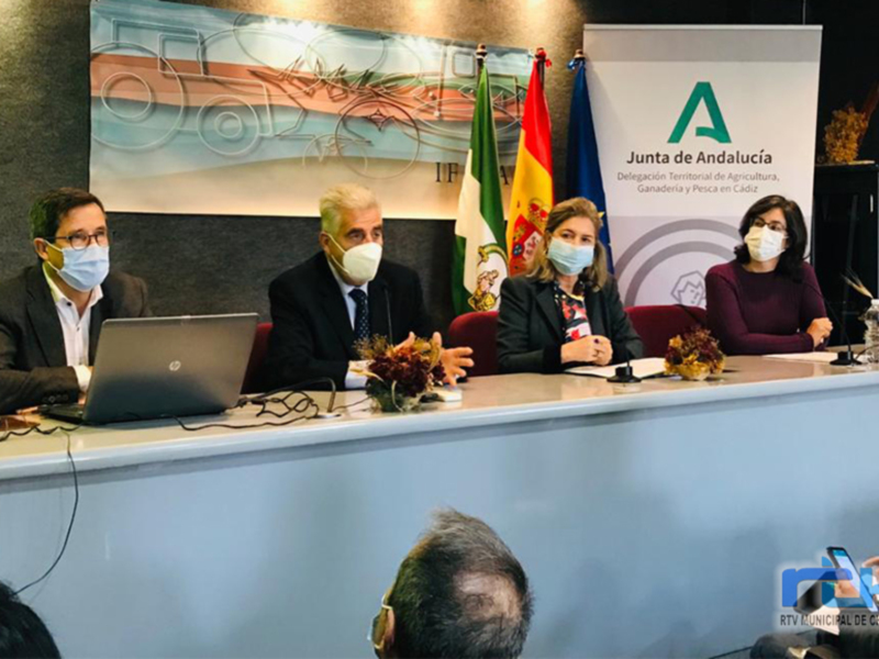 La Junta presenta su estudio de la zona inundable de Chipiona que ha sido realizado por la Universidad de Cádiz
