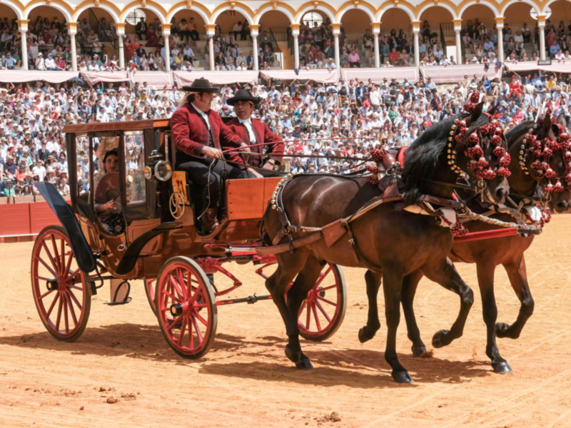 El Real Club de Enganches de Andalucía publica el listado de premiados de la XXXVI Exhibición