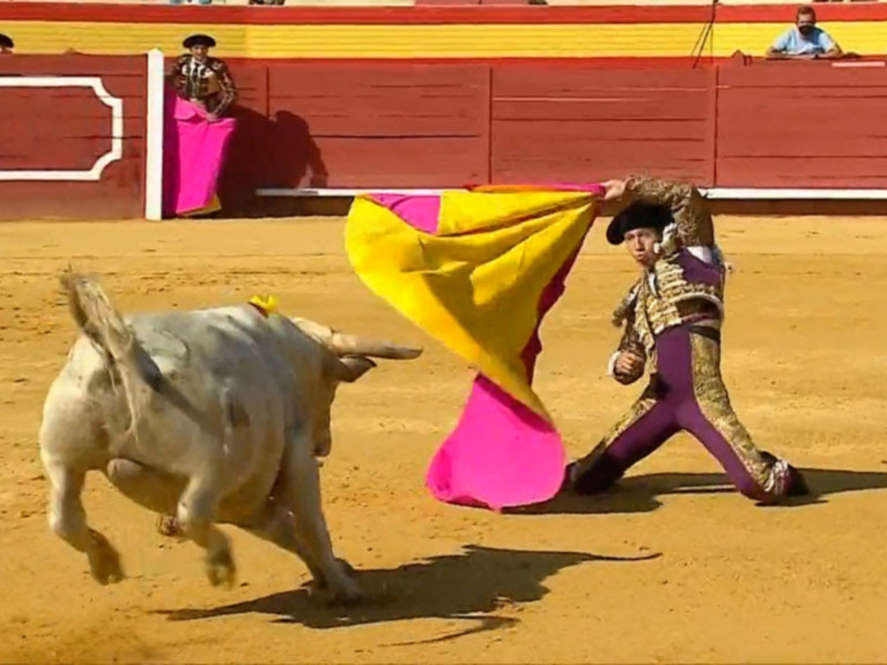 Segunda Semifinal del Ciclo de Novilladas de Canal Sur, en directo desde Dos Torres