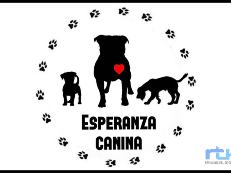 Esperanza Canina realiza un llamamiento urgente para adquirir pienso con el que alimentar a los perros a los que cuida