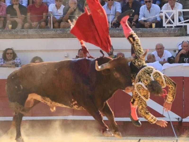 Manuel Escribano, rotura de escafoides tras su espeluznante cogida en Beziers