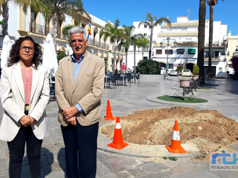 Comienzan trabajos de mejora de especies vegetales en la plaza Juan Carlos I