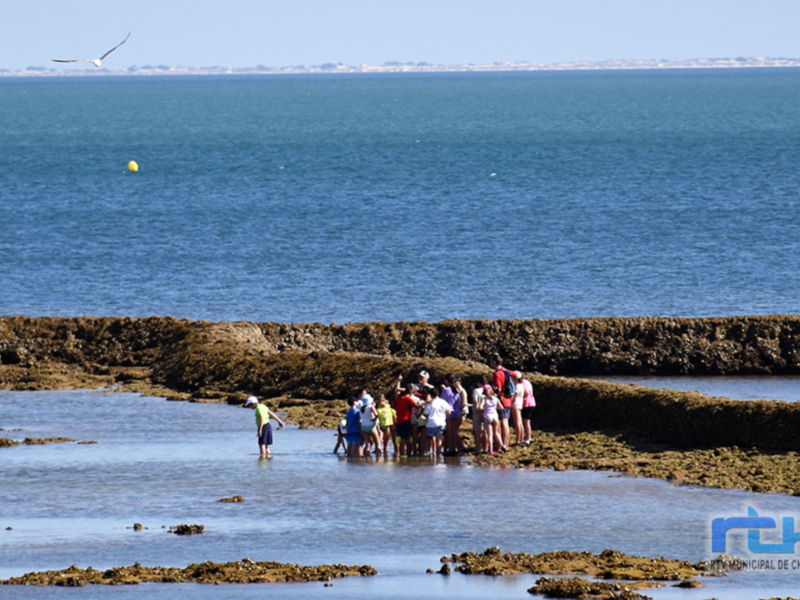 Chipiona edita como cada verano un bando para proteger sus milenarios corrales de pesca