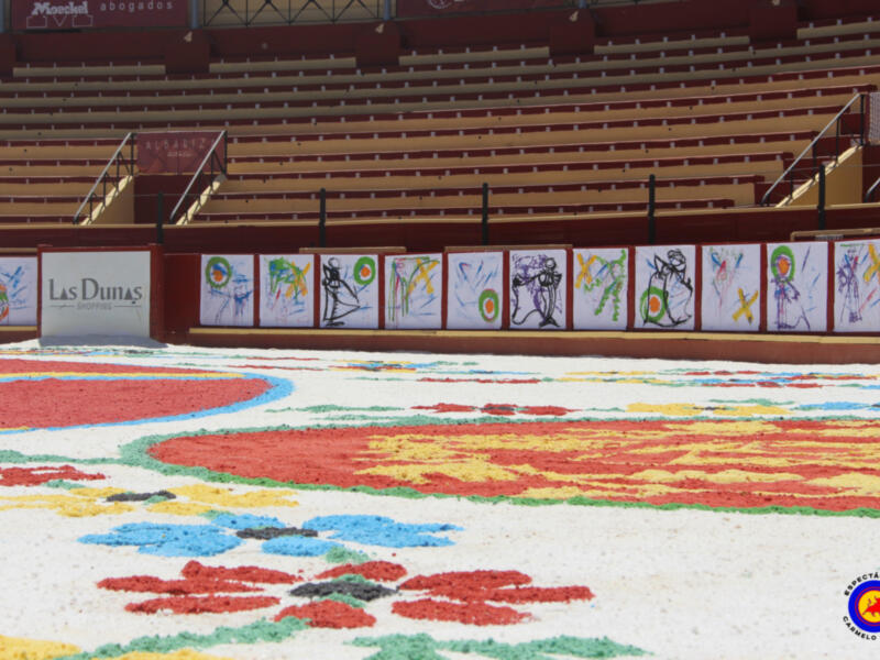¡Así luce la V Alfombra de Sal Magallánica!