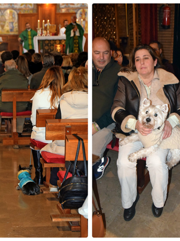 En un ambiente religioso, una persona sostiene a un perro blanco en su regazo mientras otros asisten a la misa. La imagen muestra una mezcla de devoción y familiaridad en un lugar sagrado.
