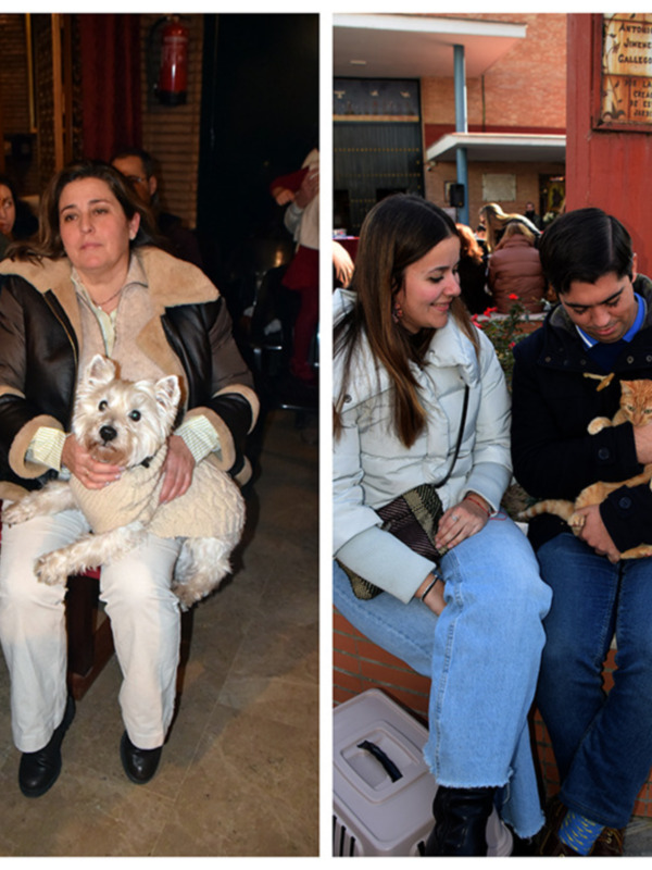  Bendición de Mascotas: Devoción y Tradición en la Parroquia de Pio XII de Sevilla 