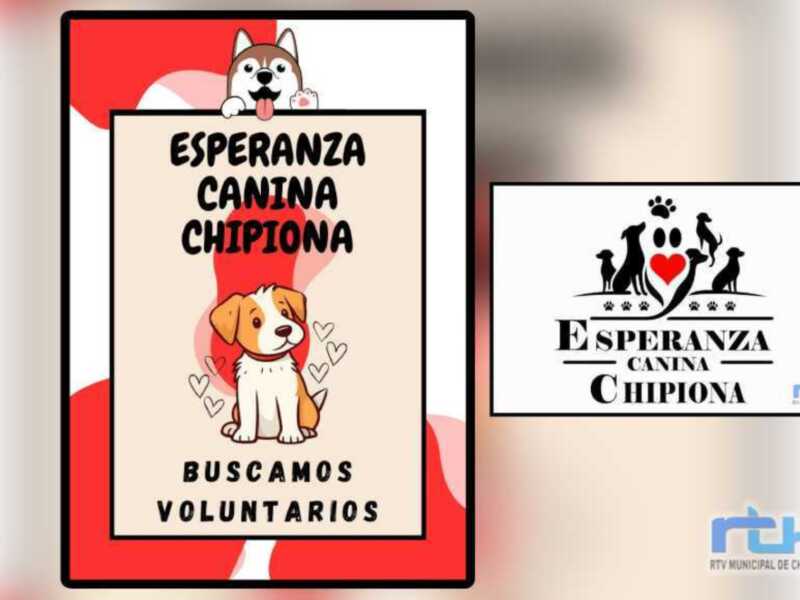 Esperanza Canina realiza un llamamiento urgente para solicitar colaboración de voluntarios