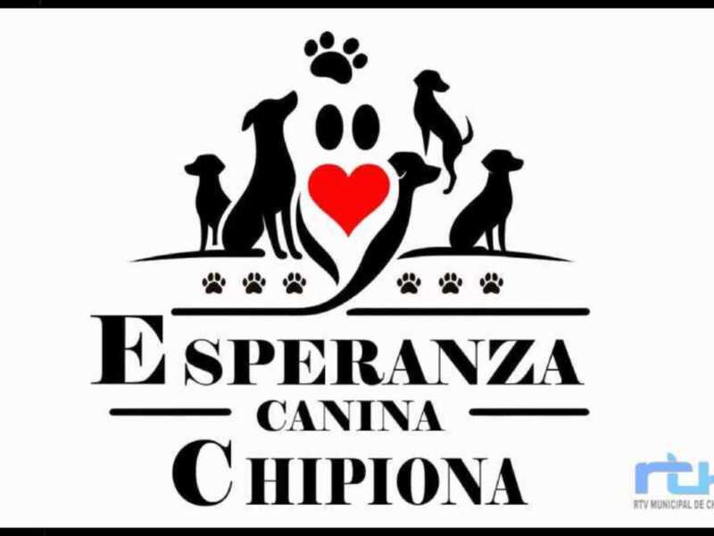Esperanza Canina hace un llamamiento a la colaboración ciudadana ante la falta de pienso para los perros del refugio que gestiona