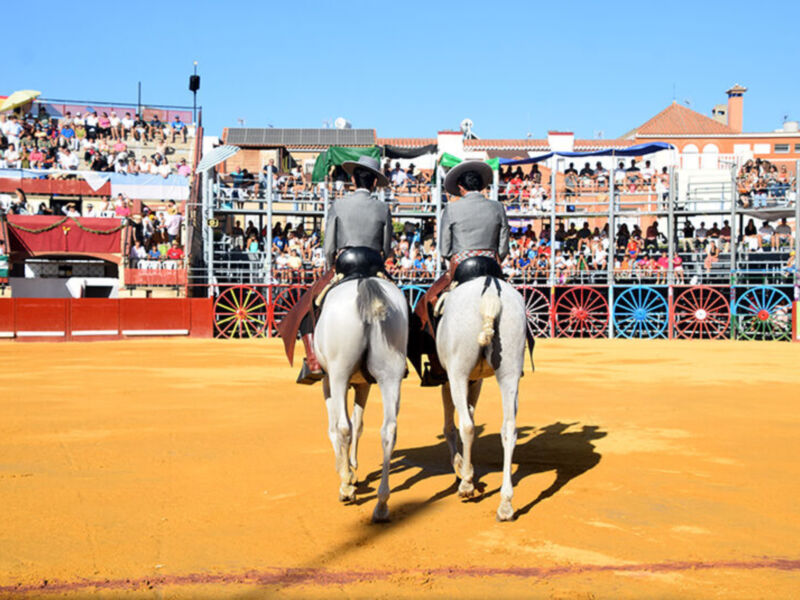 Dos caballos blancos con jinetes en un campo de arena, rodeados por espectadores y decoración festiva.