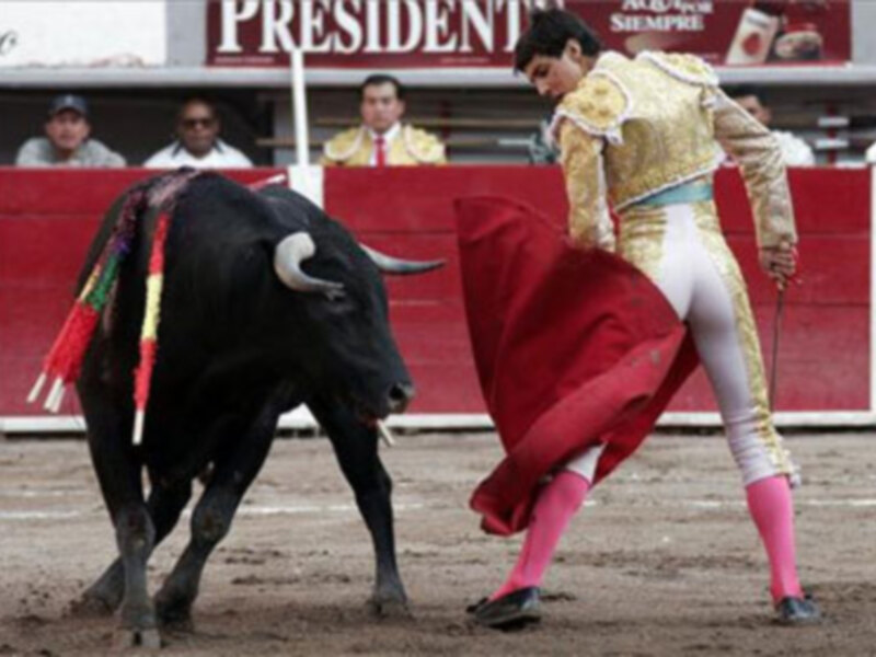 Un torero en traje de luces se enfrenta a un toro en un ruedo de toros.