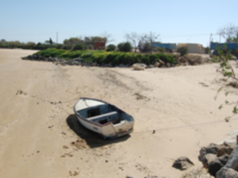 (Chipiona) IU consigue una mejora considerable en el tratamiento de la playa de Micaela con las obras de acceso al puerto