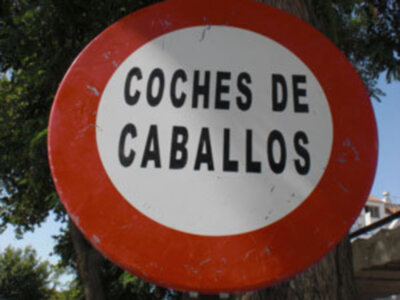   El P. Popular se hace eco de diversas quejas, motivadas por los olores de excrementos de los animales que tiran de los coches de caballos en Chipiona. 