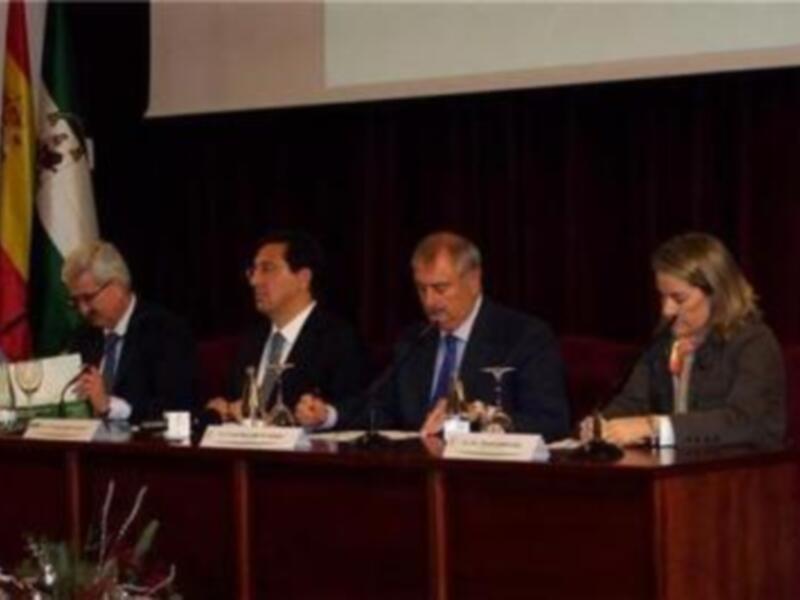 Andalucía Olímpica beca a 148 deportistas andaluces en 2009
