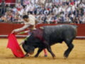Un torero con capa y muleta en una plaza de toros, lidiando a un toro negro. La imagen muestra la tradición y el arte de la tauromaquia en España, con un toro y un matador en acción.