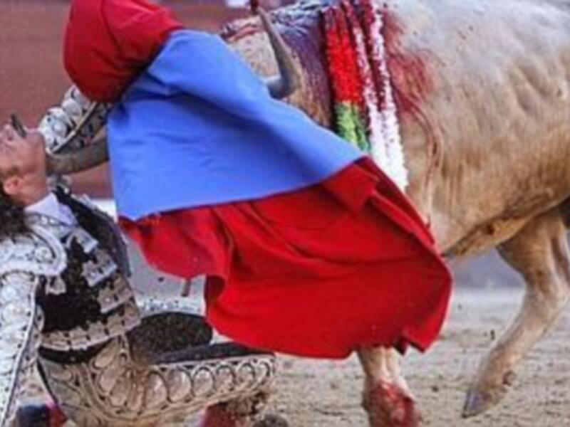 El sevillano Julio Aparicio sufre una cornada en Madrid