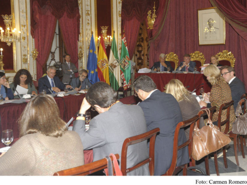 El pleno de Diputación aprueba el concurso para la concesión del servicio de ayuda a domicilio(Cádiz)