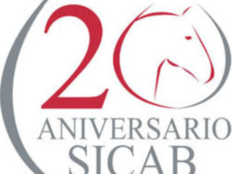 Como quiera que en  Noticias Cofrades del Sur tenemos corazón y late por las cosas importantes de Sevilla y este año, se celebra el 20 Aniversario de SICAB, abrimos una venta a SICAB 2010.