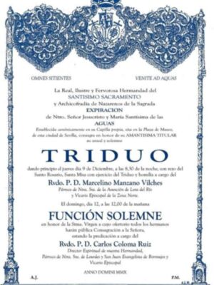 Triduo a la Virgen de las Aguas de la Hermandad del Museo&#8207;