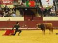 Un torero con un chaleco negro y una capa roja en mano, enfrentándose a un toro en una plaza de toros. La audiencia observa desde los palcos, con banderas portuguesas y españolas.