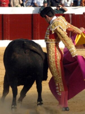 Los tres toreros a hombros en la segunda de Osuna