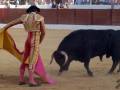 Un torero en traje tradicional se enfrenta a un toro negro en una plaza de toros. El público observa desde las gradas detrás del muro de protección.