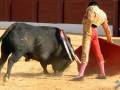 Un torero en traje de luces lidiando un toro en una plaza de toros.