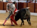 Un torero en traje de luces lidiando con un toro en una plaza de toros.