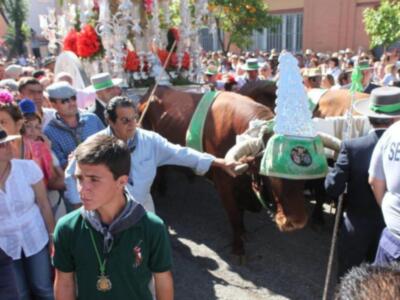 Rocío 2011, Salida de la hermandad de Triana de Sevilla.