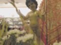 Un niño desnudo sostiene un estandarte de palmas en una exposición. Detrás, flores blancas y un tapiz rojo con bordados florales.