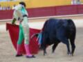Un torero en traje de luces se enfrenta a un toro negro en una plaza de toros, con el público observando desde el fondo.