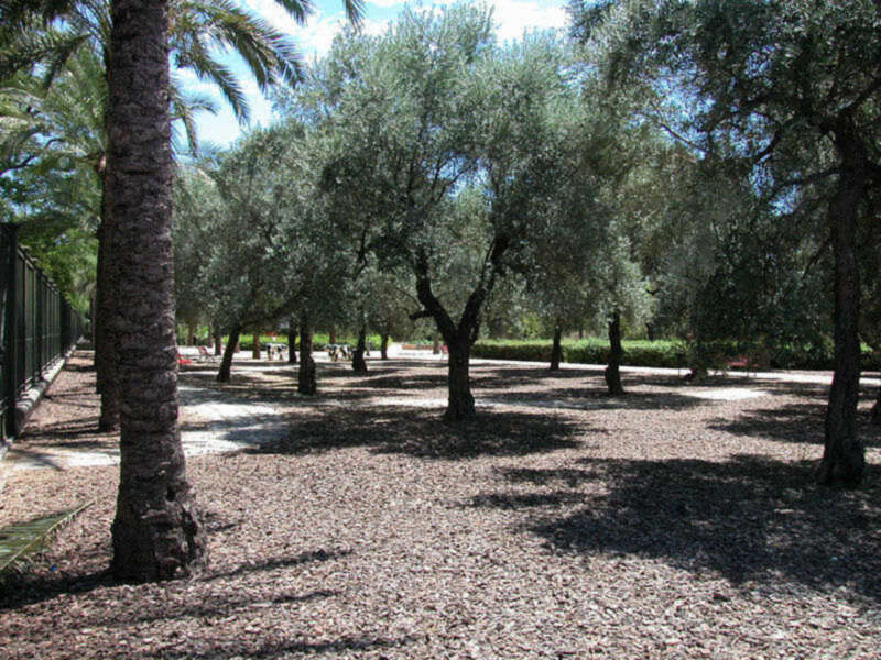 COMO AHORRAR HASTA UN 50% DE COSTES EN EL MANTENIMIENTO DE ZONAS VERDES EN PARQUES Y JARDINES.
