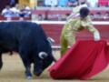 Un torero en traje amarillo y dorado sostiene una capa roja, mientras un toro negro se prepara para atacar. La escena se desarrolla en una plaza de toros con asientos rojos y un público observando la acción.
