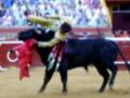 Un torero en traje de luces se enfrenta a un toro negro durante una corrida de toros en un anfiteatro. La escena captura la intensidad y el riesgo de esta tradicional actividad taurina.