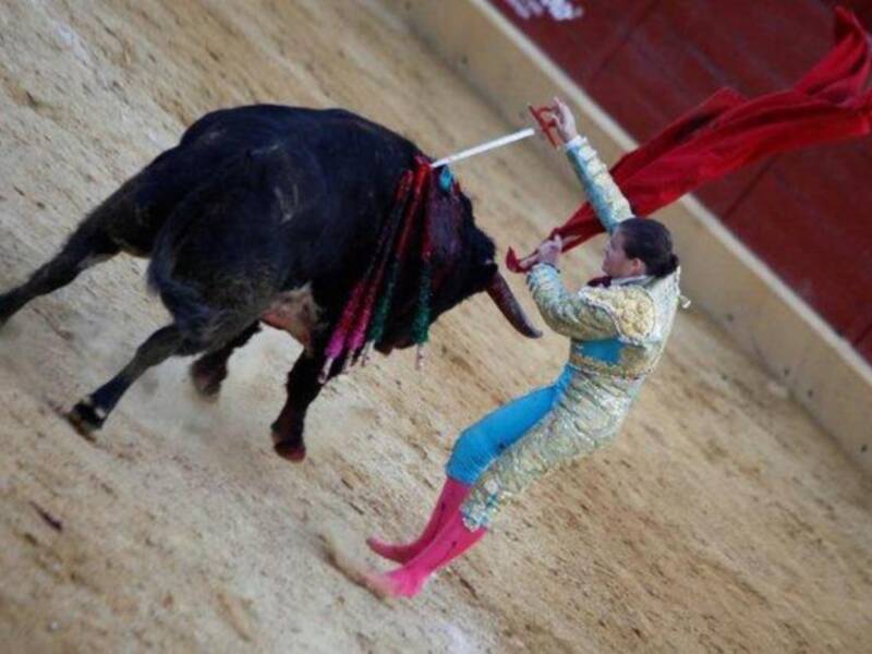Carmen Bazán ejerce de abuela orgullosa con los hijos de Jesulín y María José campanario  