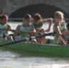 El Campeonato de Andalucía de yolas hace escala en el Club Náutico Sevilla