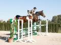 Jinete saltando sobre un obstáculo en un campo de salto de caballos, con un entorno de césped y árboles al fondo.