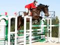 Un jinete en un traje rojo saltando sobre un caballo negro, que cruza una cerca de salto verde y blanca. El cielo es azul claro y hay árboles verdes en el fondo.
