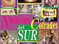 Portada de 'Noticias Colrades del Sur', con imágenes de ojos y rostros de mujeres.